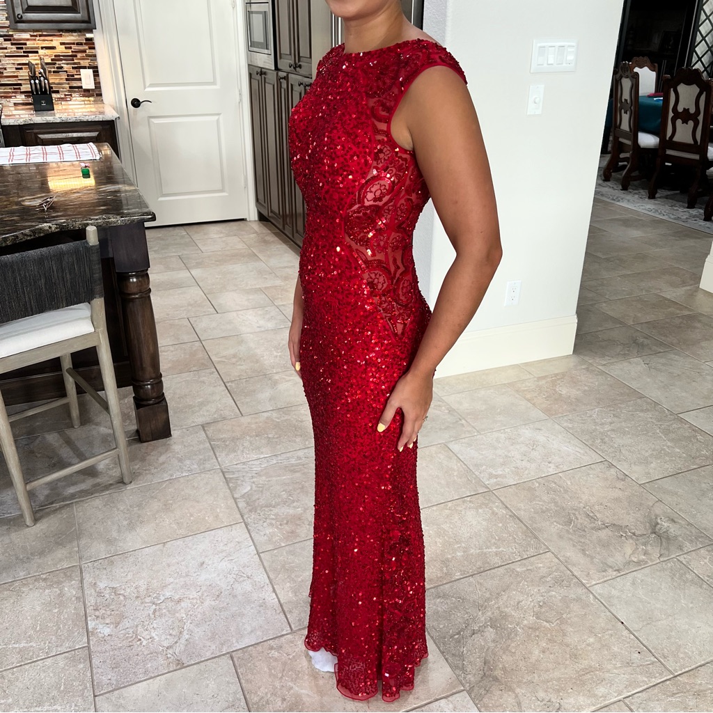 Red Embellished Gown